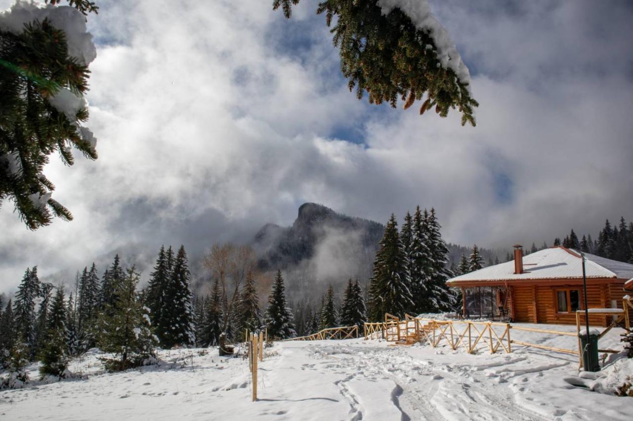 морава Pamporovo