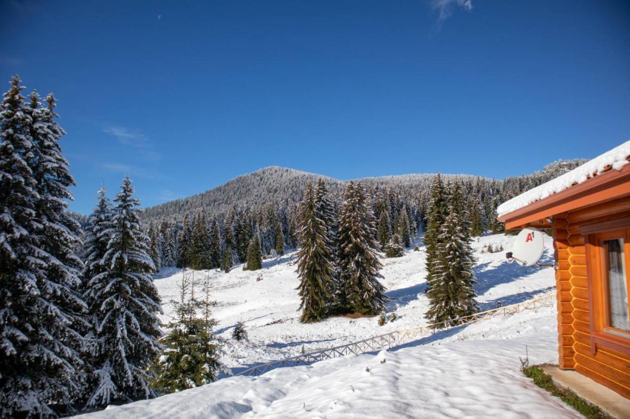 Villa морава Pamporovo
